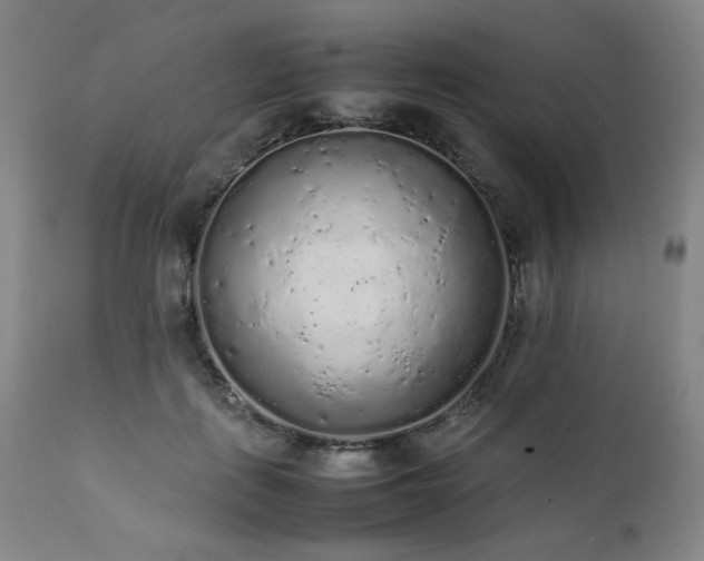 X0000112040651200908031518