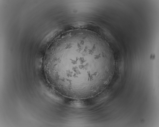 X0000112040652200908031518