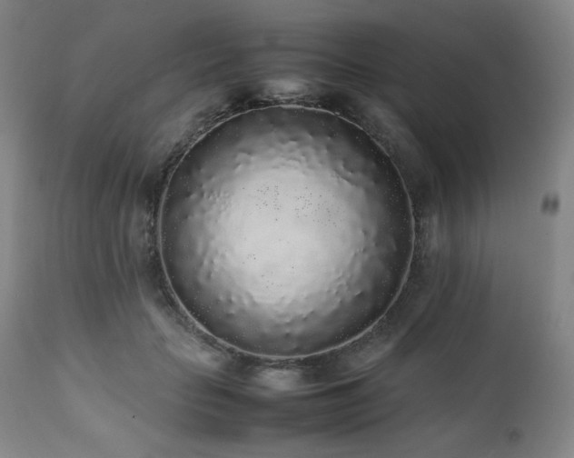 X0000112040653200908031518