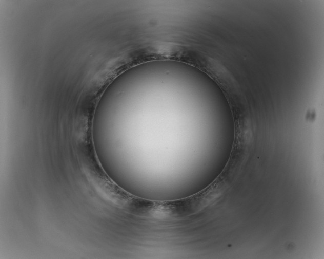 X0000112040656200908031518