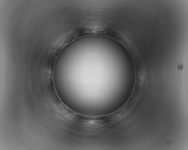 X0000112040657200908031518