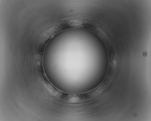 X0000112040658200908031518