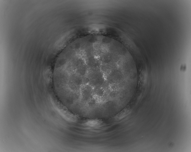 X0000112040659200908031518