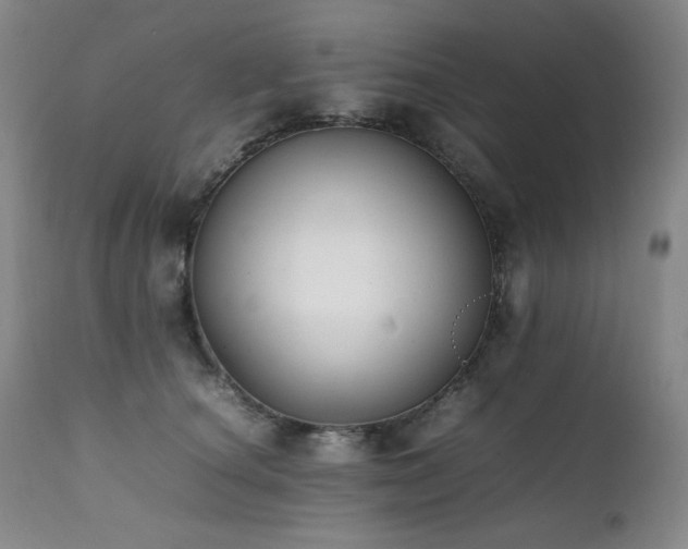 X0000112040660200908031518