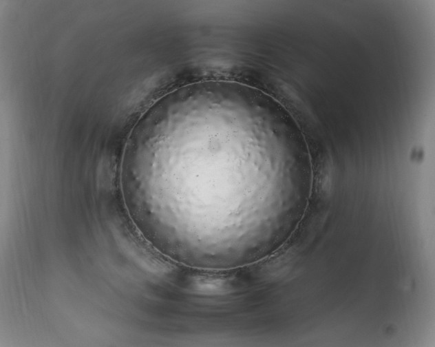 X0000112040661200908031518