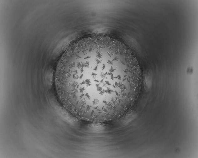 X0000112040668200908031518
