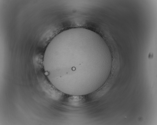 X0000112040672200908031518