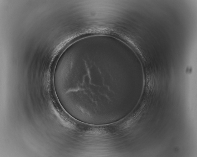 X0000112040674200908031517