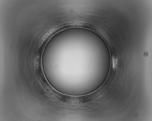 X0000112040675200908031517