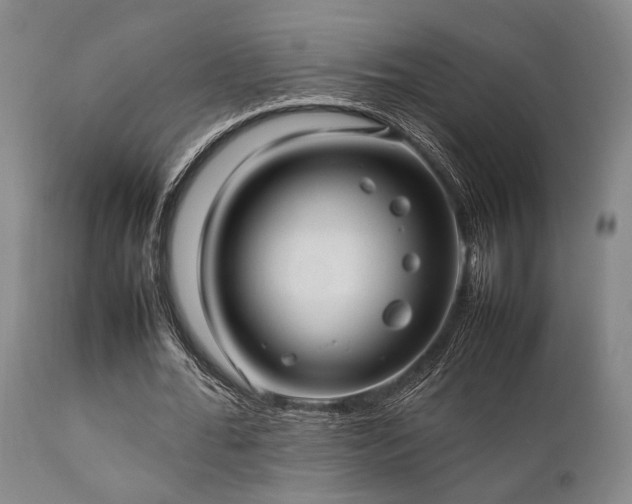 X0000112040676200908031517