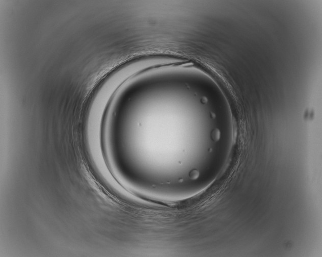 X0000112040677200908031517