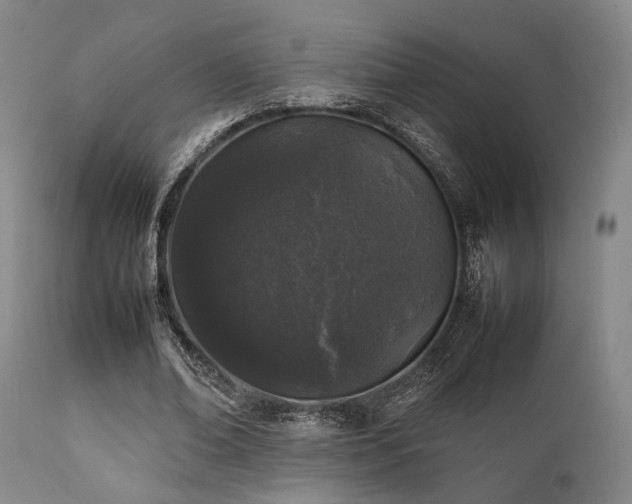 X0000112040678200908031517