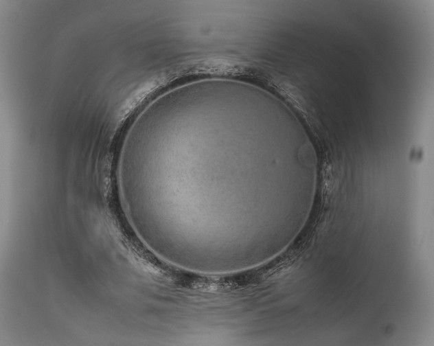 X0000112040679200908031517