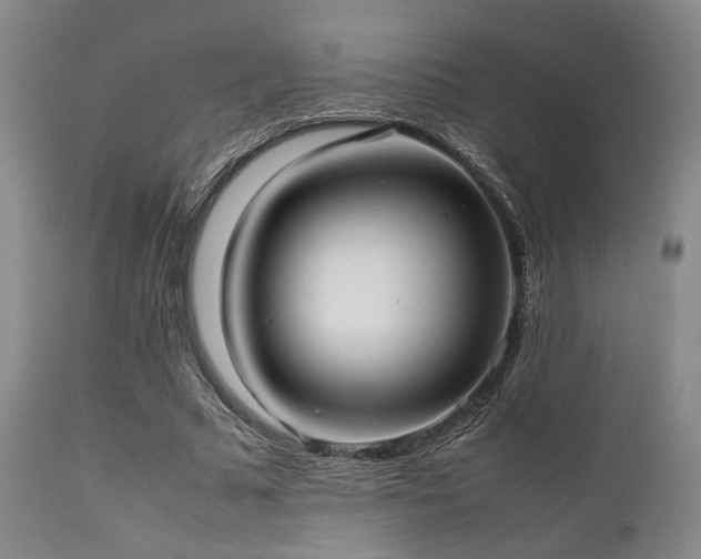 X0000112040681200908031517