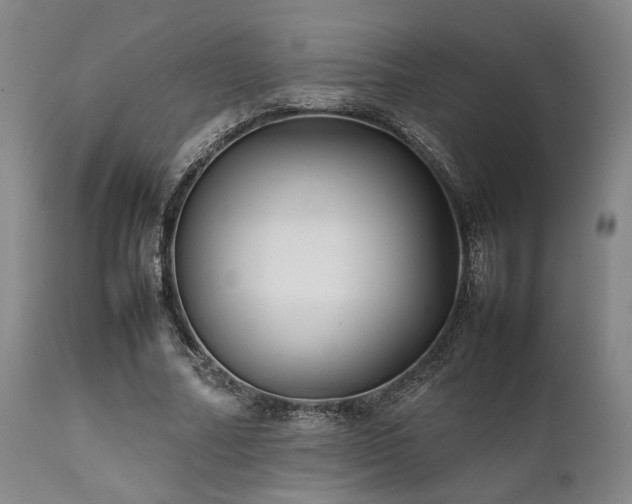 X0000112040682200908031517