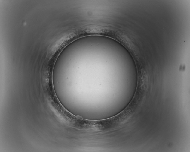 X0000112040683200908031517