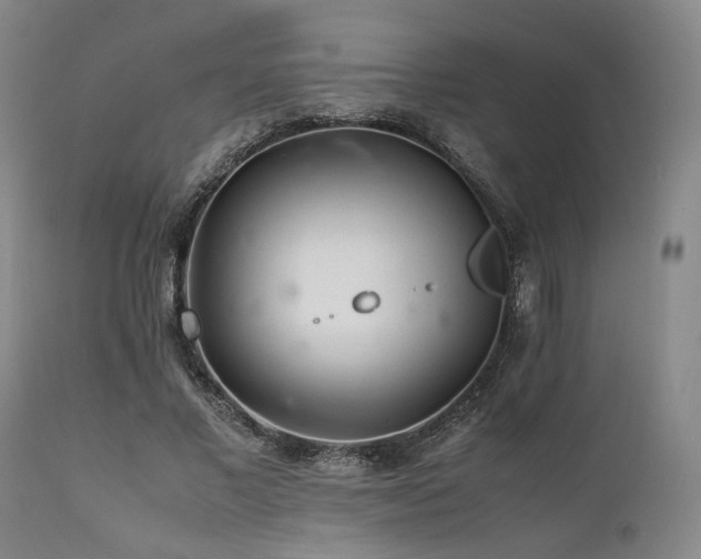 X0000112040685200908031517