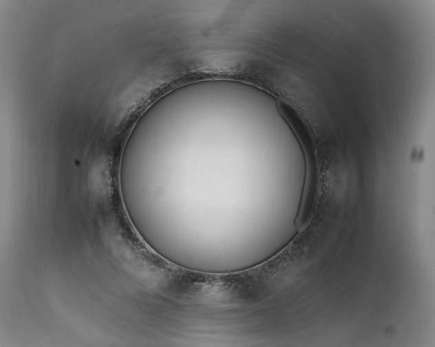 X0000112040688200908031517