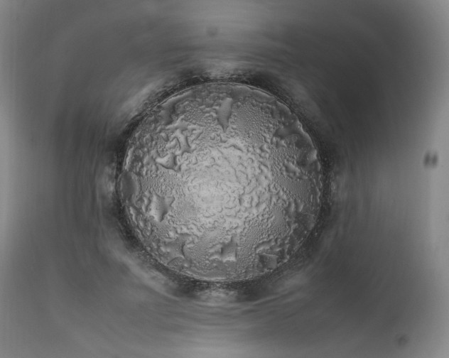 X0000112040691200908031517
