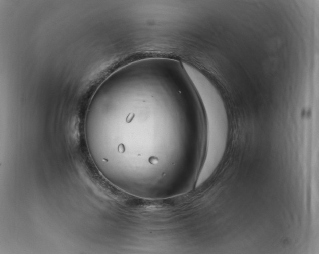 X0000112040692200908031517