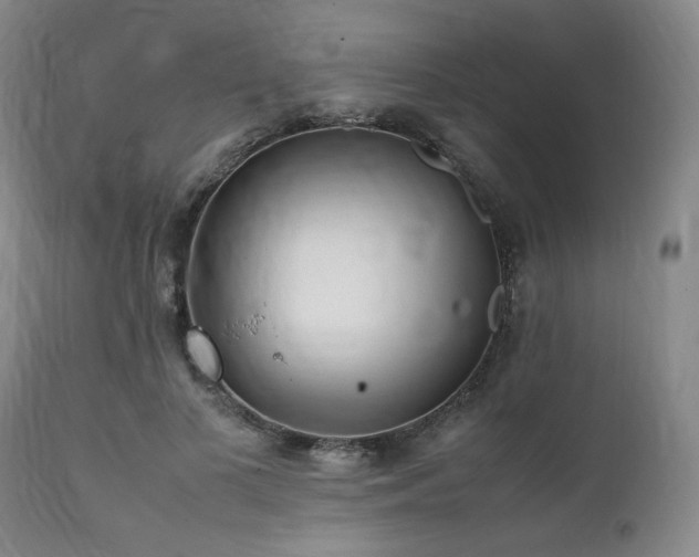 X0000112040693200908031517