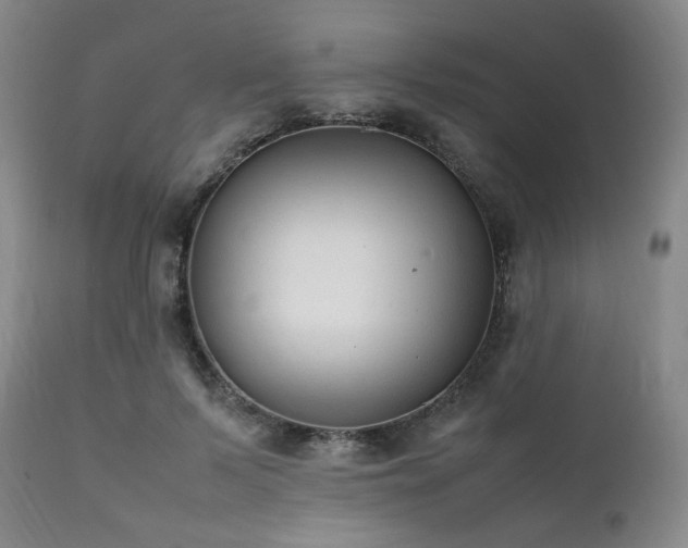 X0000112040695200908031517