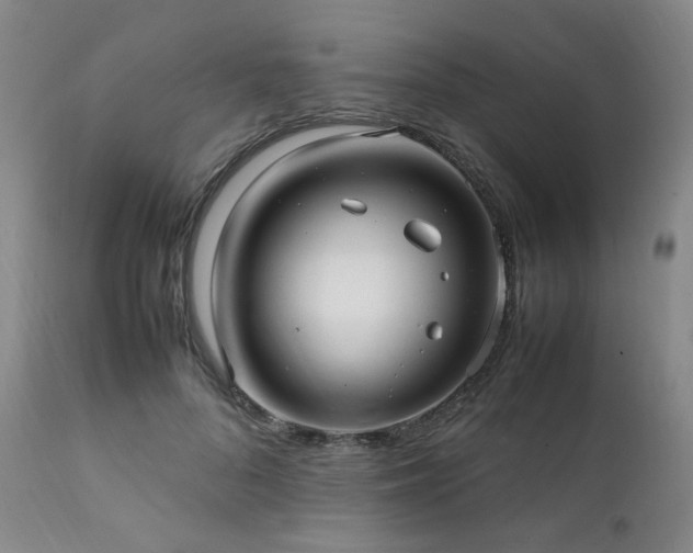 X0000112040696200908031517