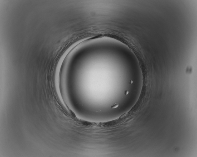 X0000112040697200908031517