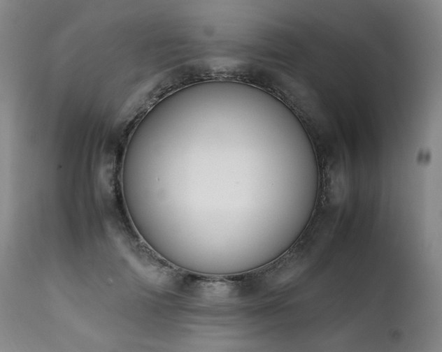 X0000112040698200908031517