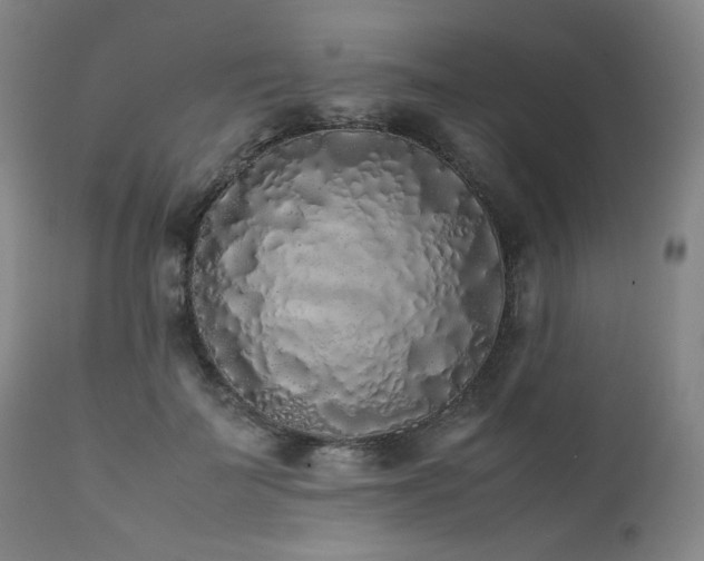 X0000112040699200908031517