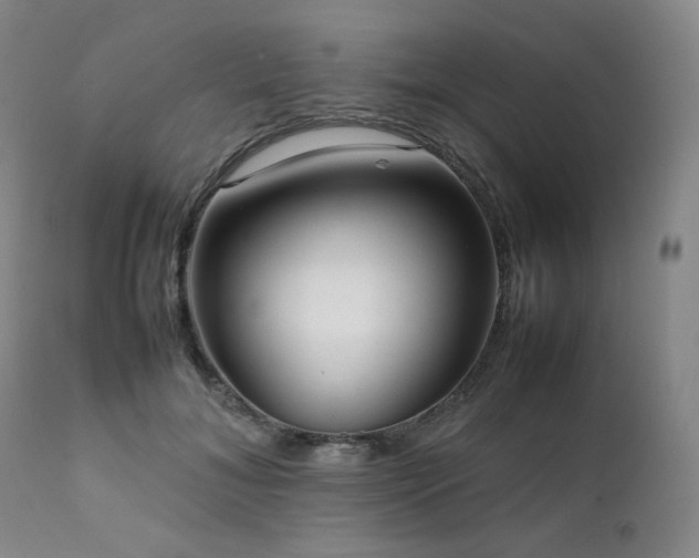 X0000112040700200908031517