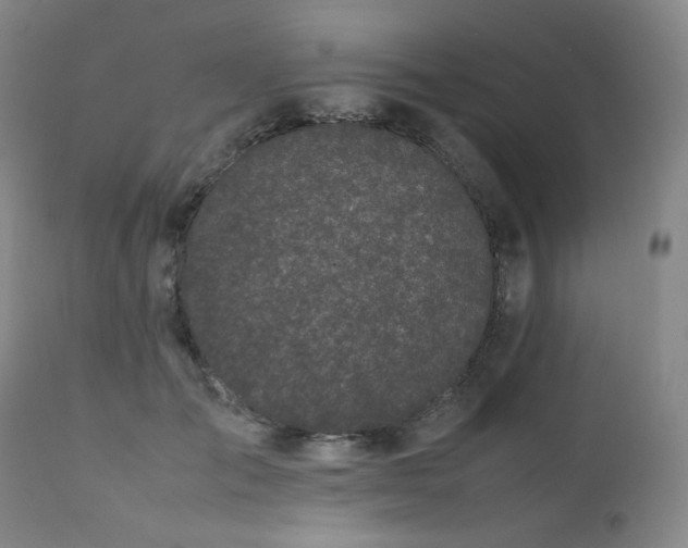 X0000112040701200908031517