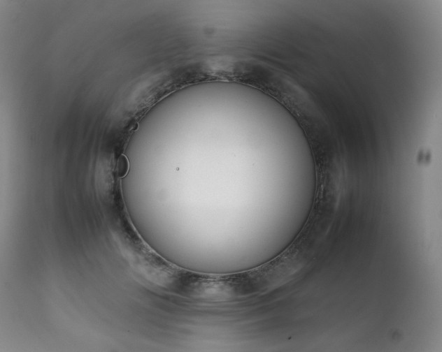 X0000112040702200908031517
