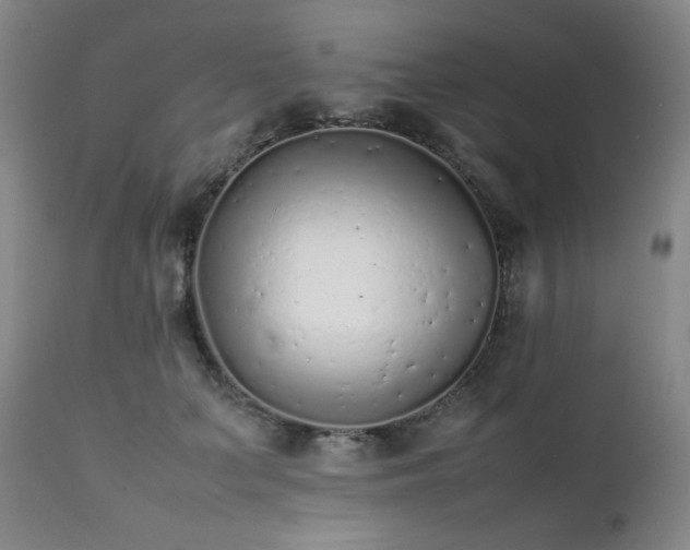 X0000112040703200908031517