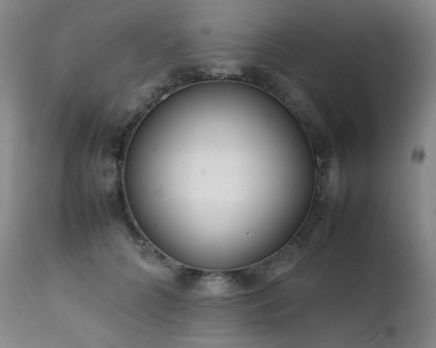 X0000112040704200908031517