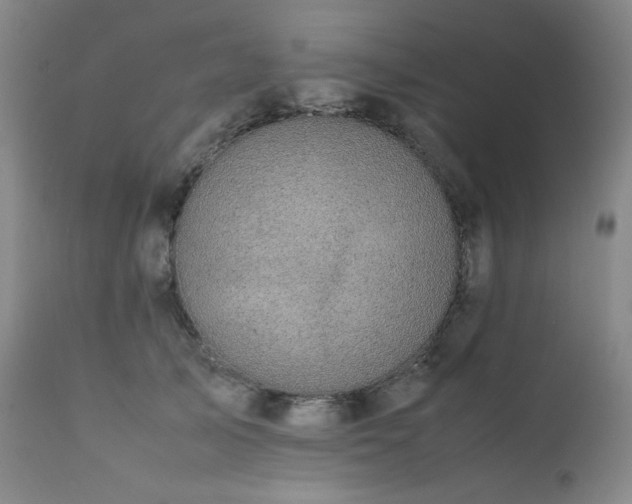 X0000112040705200908031517