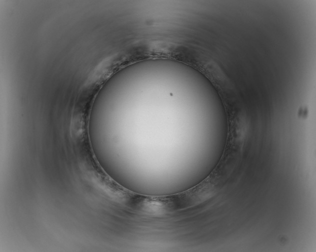 X0000112040706200908031517