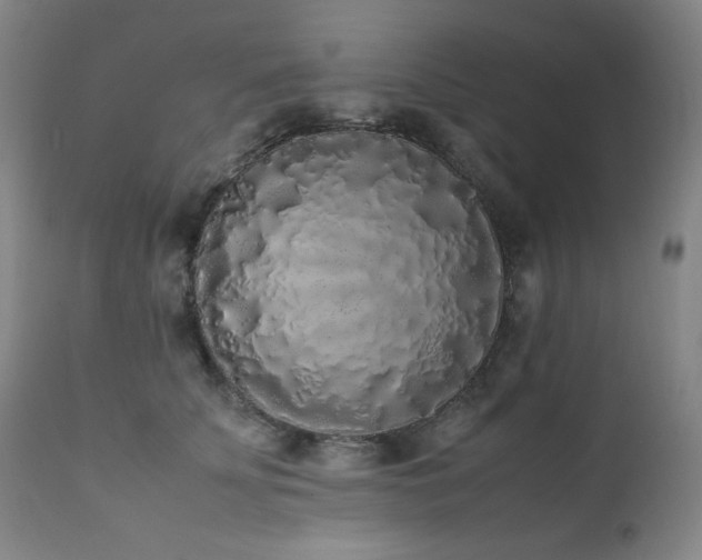 X0000112040707200908031517