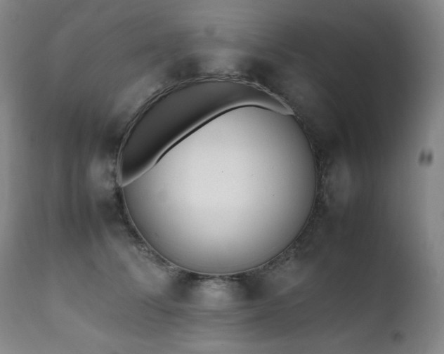 X0000112040708200908031517