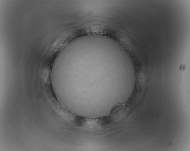 X0000112040709200908031517