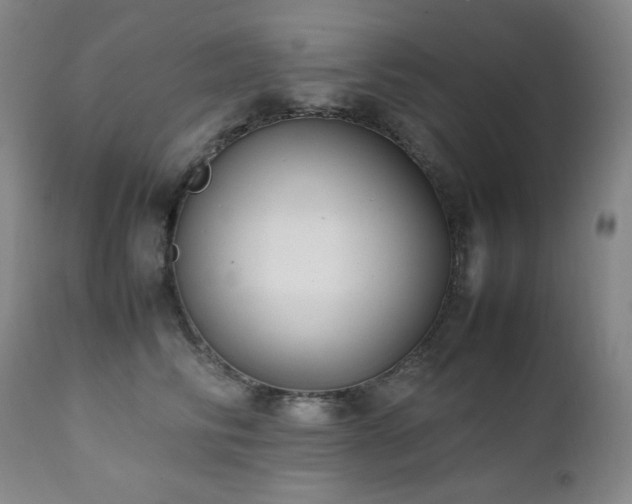 X0000112040710200908031517