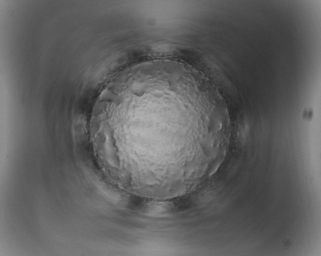 X0000112040711200908031517