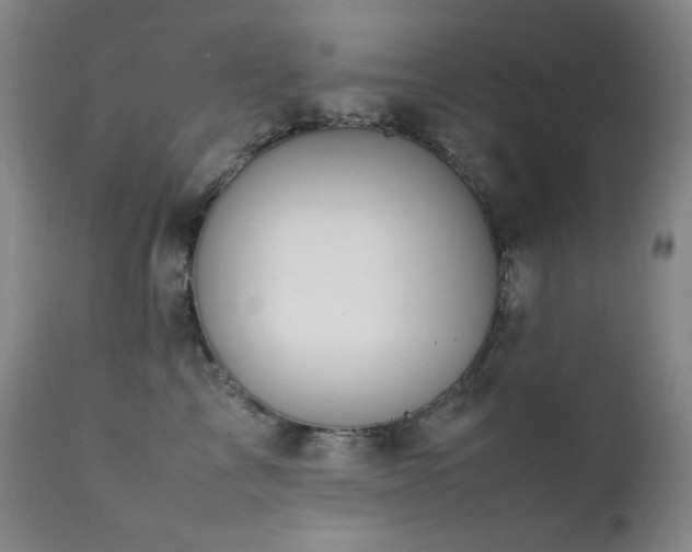 X0000112040713200908031517