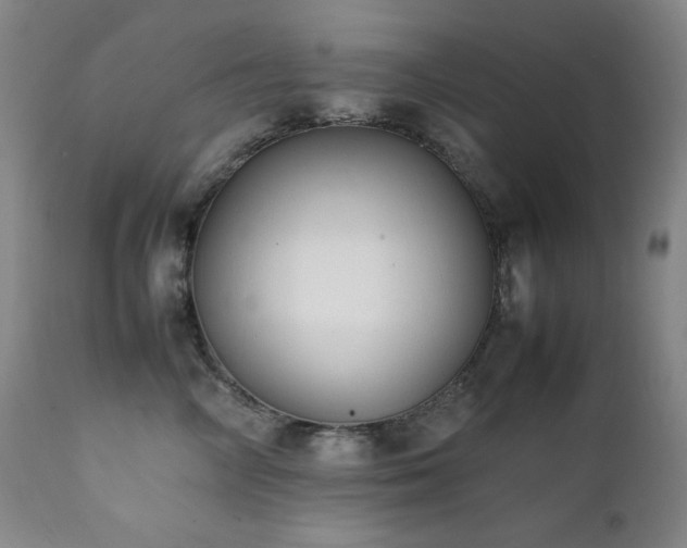 X0000112040714200908031517
