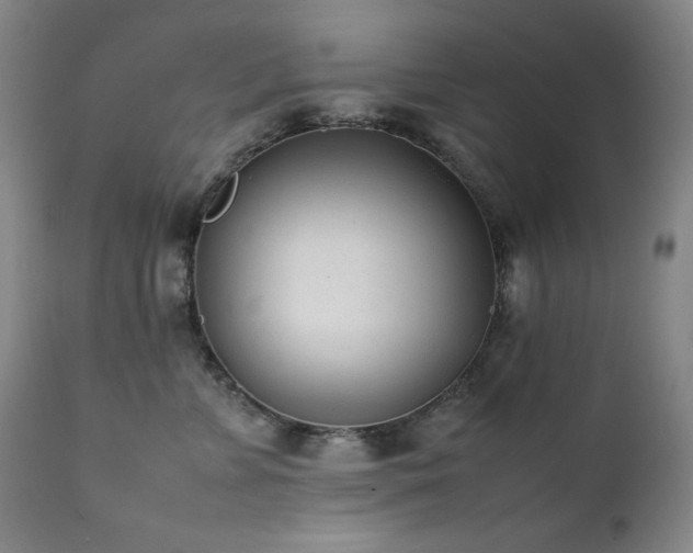 X0000112040715200908031517
