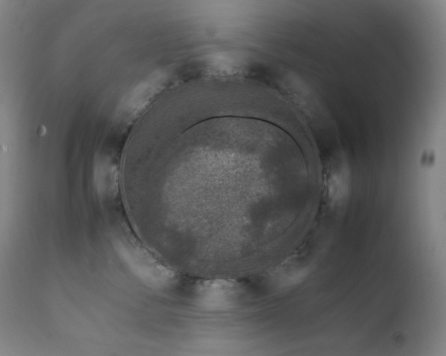 X0000112040716200908031517