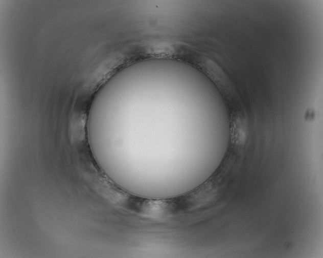 X0000112040717200908031516