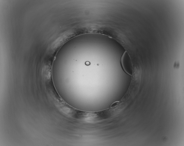 X0000112040719200908031516