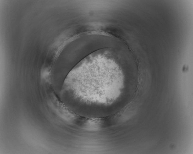 X0000112040720200908031516