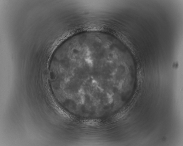 X0000112040721200908031516